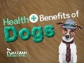 The Health Benefits of Dogs