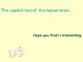 The Human Brain