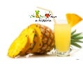 The Juice Farm Story 2011