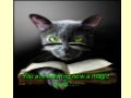 Themagiccateye