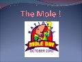 The Mole!