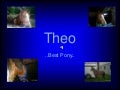 Theo