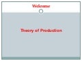 Theory of Production