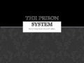 The Prison System