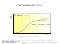 The product life cycle business diagram