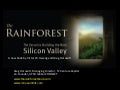 Rainforest Model. Le slide di Greg Horowitt