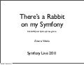 Theres a rabbit on my symfony
