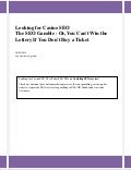 Looking for Casino SEO 