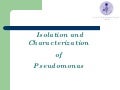 Pseudomonas