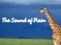 The Sound of Rain