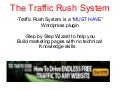 The Traffic Rush System