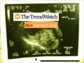 The Trendwatch #12 - Biomarketing