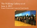 The walking gallery year one