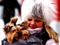 The whiteness of winter