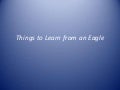 Things To  Learn From An  Eagle