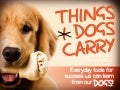 #THINGSICARRY by @satellio