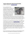 Things You Should Know When Breeding Chinchillas