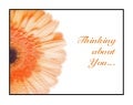 "Thinking of You" sympathy card