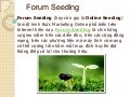 Thế nào là forum seeding - lamsocial.com