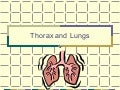 NurseReview.Org Thorax & Lungs