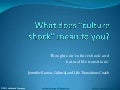 Thoughts On Culture Shock