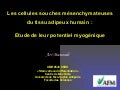 How fat stem cells could or not form muscle cells (French)