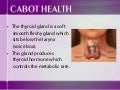 Thyroid Health