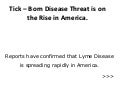 Tick – Born Disease Threat is on The Rise in America