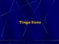 Tinga Lions