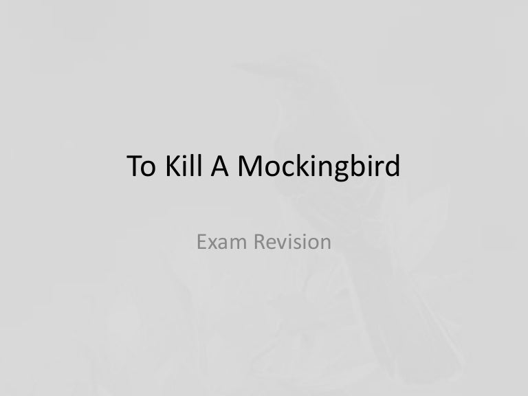 To Kill a Mockingbird Justice Essay