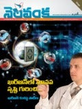 nelavanka may 2013