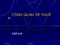 Tổng quan về thuếda chinh