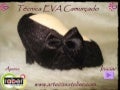 Ténica EVA Camurçado
