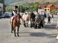 Toamna Cugireană 2011