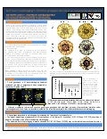 Poster19: Tolerance to waterlogging in Brachiaria genotypes: the role of root aerenchyma development 