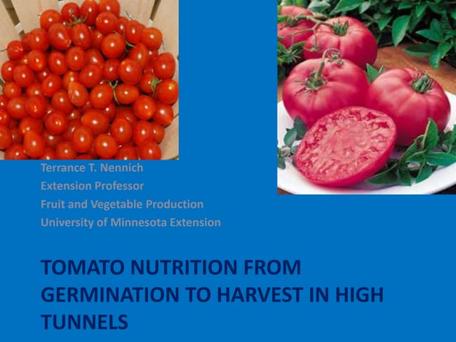 Tomato nutrition from germination t...
