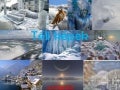 Tombe La Neige  Adamo