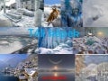 Tombe la neige-_adamo