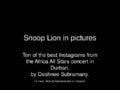 Top 10 instagrams of the Snoop Lion concert in South Africa