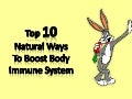 Top 10 ways to boost immunity in the body   natural immunity booster