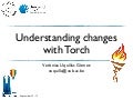 Understanding Changes with Torch
