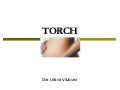 TORCH