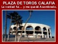 Toros