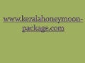 Tour destinations  tour destinations in kerala-kerala-honeymoon-honeymoon destinations-honeymoon packages-kumarakam-munnar-wayanadu-wayanad-kovalam-cochin-cherai beech
