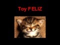 Toy gatos