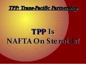 TPP Trade Agreement Exposed