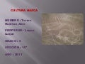 cultura nazca