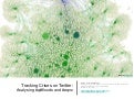 Tracking Crises on Twitter: Analysing #qldfloods and #eqnz