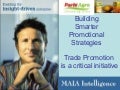 Trade Promotion Management
