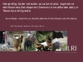 Interpreting trader networks as value chains: Experience with Business Development Services in smallholder dairy in Tanzania and Uganda